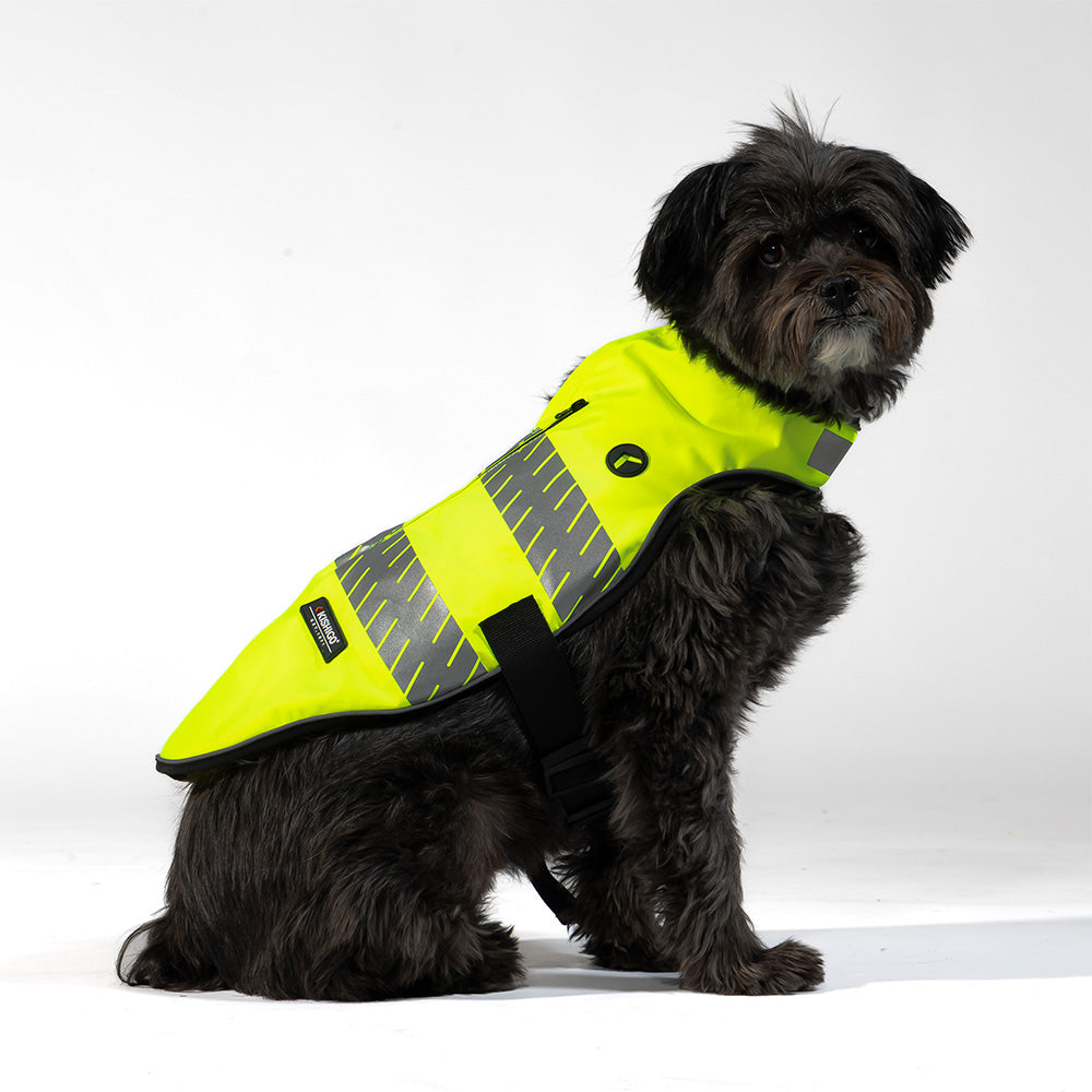 Kishigo High-Visibility Dog Vest