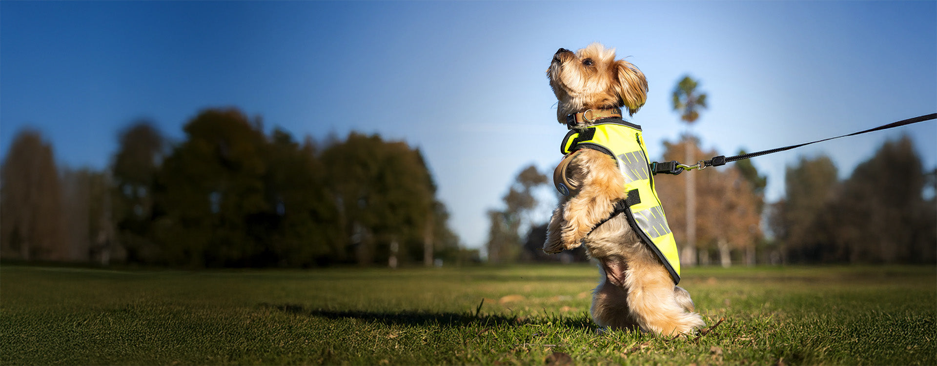 Desktop Slider Image