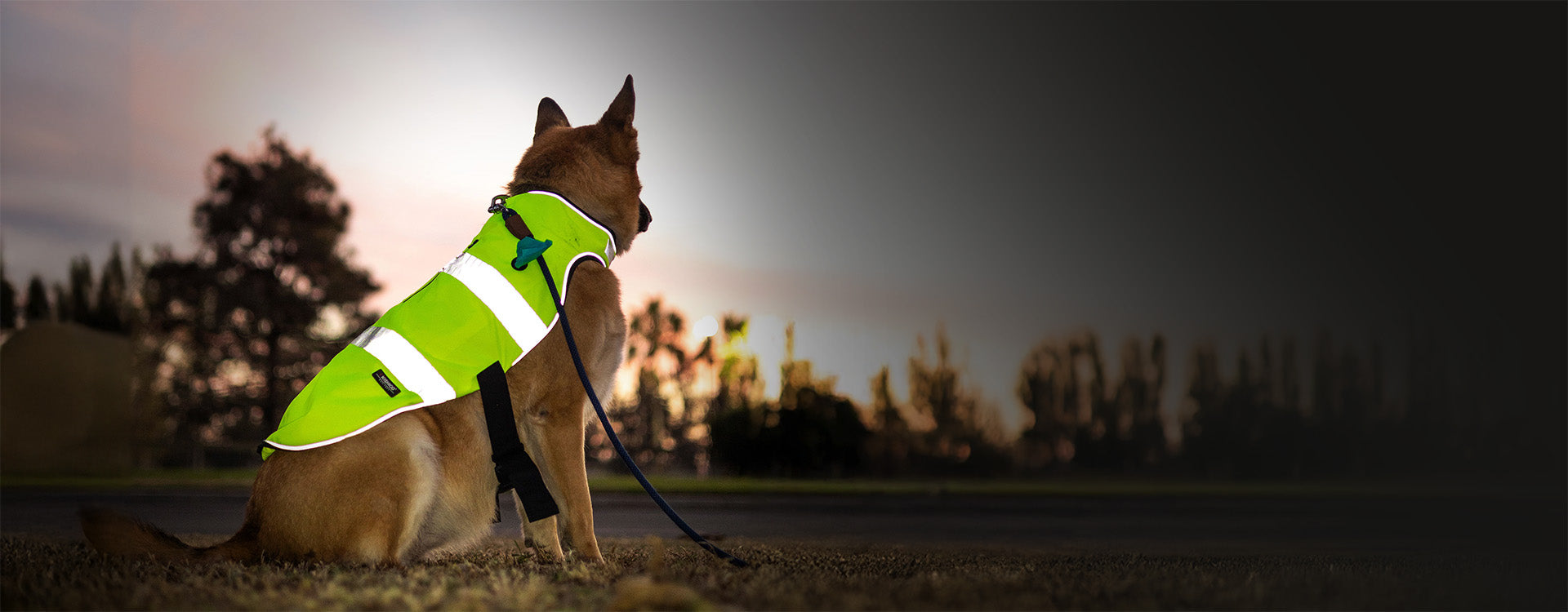 Desktop Slider Image